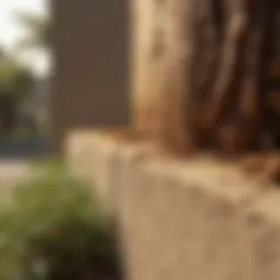 Eco-Friendly Termite Prevention