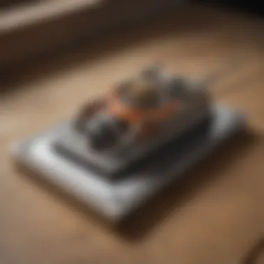 Efficient Terro Trap Action Mechanism Terro Mouse Trap Action Mechanism