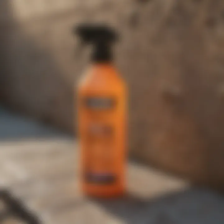 Effective bug repellent wall sealant