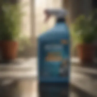 Notable An In-Depth Analysis of Biosentry 904 Disinfectant