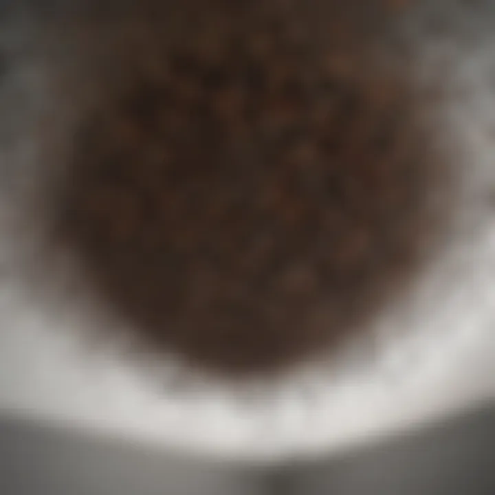 Ants forming a mysterious cluster on the ceiling