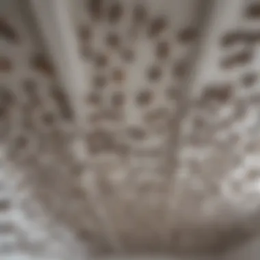 Ants marching in organized formation on a ceiling