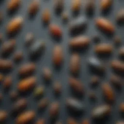 Close-up of various household pests