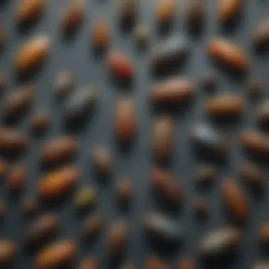 Diversity of Household Pests Close-up of various household pests