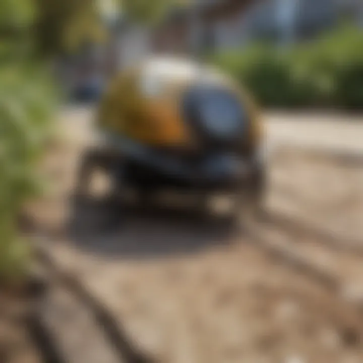 Technician applying pest control treatments