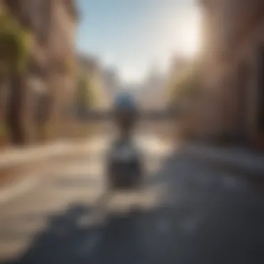 Futuristic automated drone pigeon control system