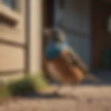 Avian Intruder Repellent