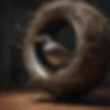 Avian Intrusion Disruption Device by Nest Away