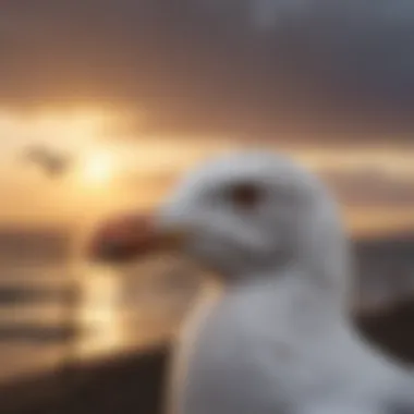 Strategic Gull Deterrent Approach Avian Pest Management Solution