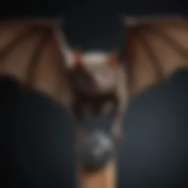 Bat Control Considerations Bat control considerations illustration
