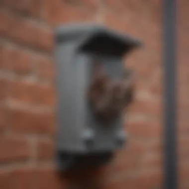 Exclusion Device Installation Close-up of a bat exclusion device installed on a building