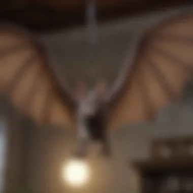 Bat exclusion device in action