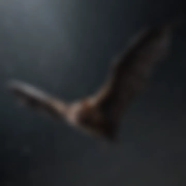 Bat in flight against the night sky