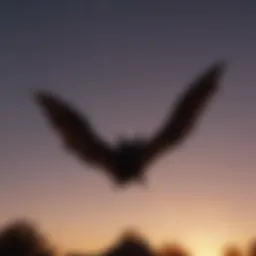 Bat in flight at dusk
