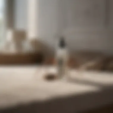 Incorporating Bayer Spider Spray into Your Daily Routine Modern bedroom with Bayer Spider Spray strategically placed