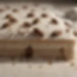 Box spring infested with bed bugs