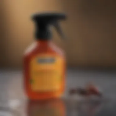 Vinegar Citrus Ant Spray DIY ant repellent spray with vinegar and citrus