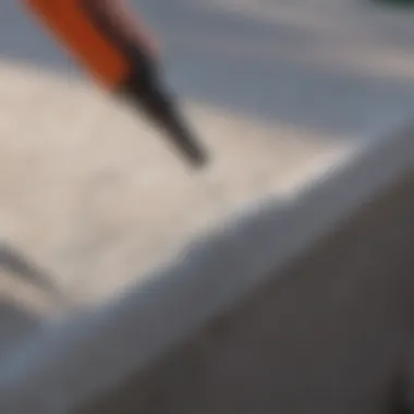 Silicone Caulking for Ant Prevention Ant-proofing outdoor spaces with silicone caulking