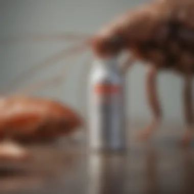Environmentally Conscious Spray Formula Eco-friendly cockroach killer spray