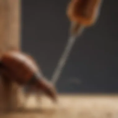 Close-up of termite spray bottle with nozzle