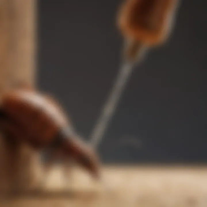 Close-up of termite spray bottle with nozzle