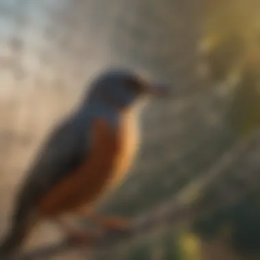 Effective Bird Netting for Bird Control Bird Netting for Bird Control