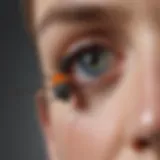 Overview of innovative pest management techniques employed by Bluesky Pest Control