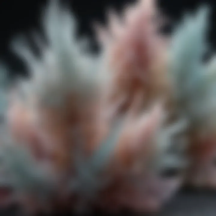 Natural Borax Crystals