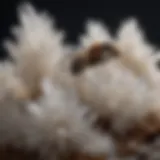 Ant crawling on borax crystals