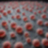 Boric acid powder microscopic structure under magnification