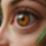 Botanical extracts in Amazon Skin So Soft Bug Guard