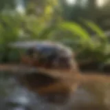 Innovative Pest Control Solutions Innovative Pest Control Solutions