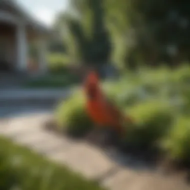 Eco-friendly landscaping techniques in action