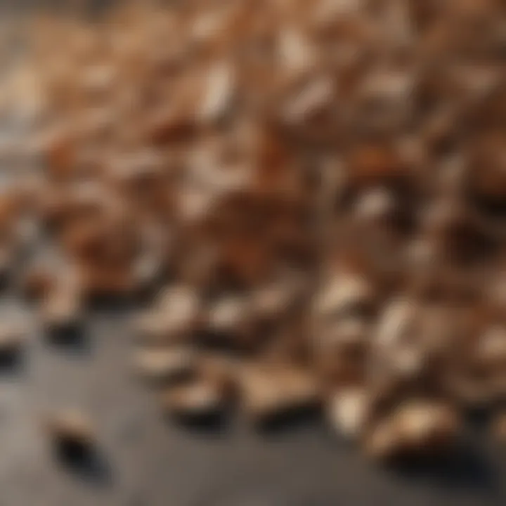 Cedar Chips for Flea Prevention