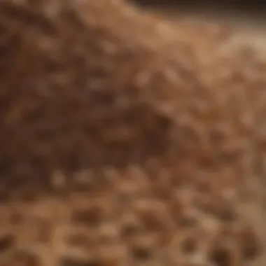 Utilizing Cedarwood Chips for Pest Control Cedarwood Chips in a Pest Control Solution