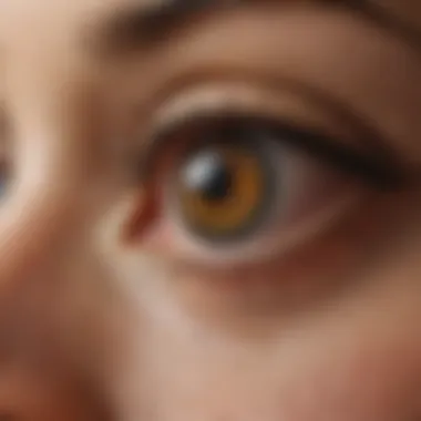 Measuring the Impact: Results of Using Cimexa Dust Effectiveness of Cimexa Dust in pest eradication