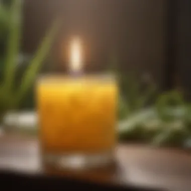 Citronella Candle: Natural Mosquito Deterrent Citronella Candle for Mosquito Repellent