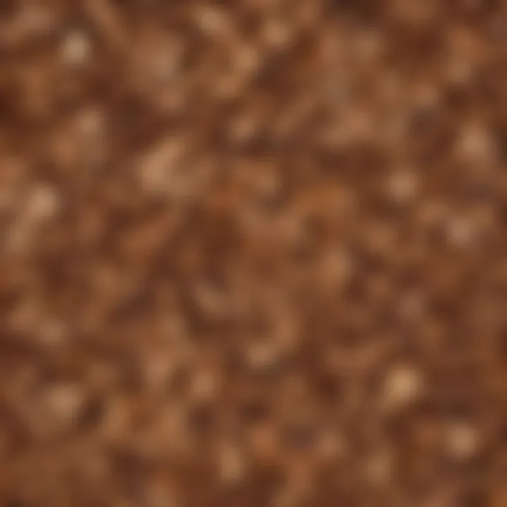 Close-up of cedar chips with a natural wood texture