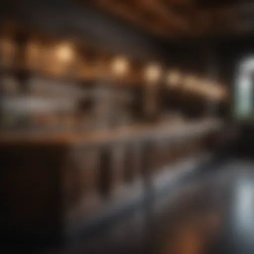 Gleaming Bar Counter in Club
