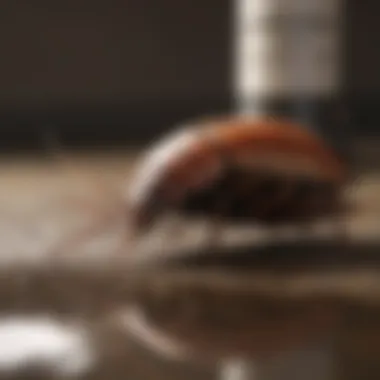 Effective Application Methods for Drain Killers Visual guide on application methods of drain killers.