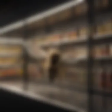 Innovative Solutions: Commercial Bee Repellents for Home Protection Commercial Bee Repellents on Shelves