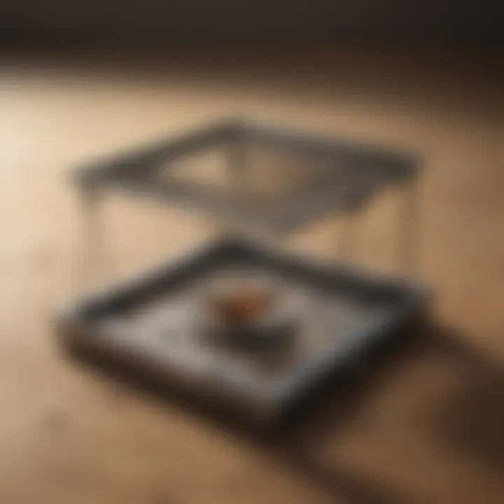 Compact size roach trap for kitchen use