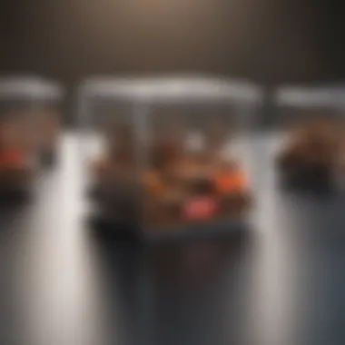 Design of Orkin roach traps showcasing their innovative features