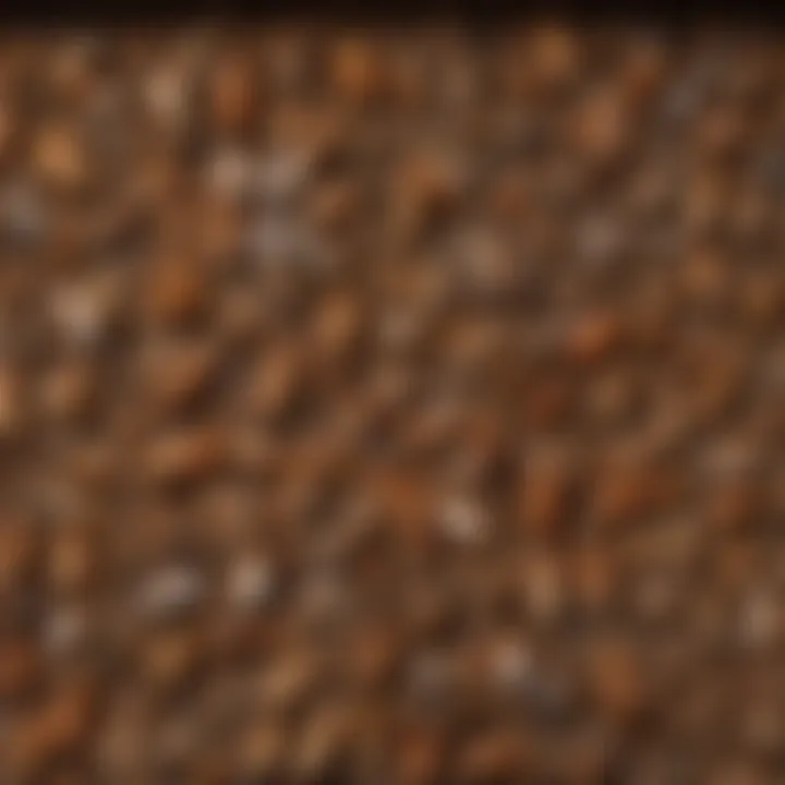 Comparison chart of various treebark termite control products and their features