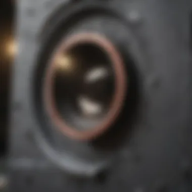 Close-up of materials used for sealing rat holes