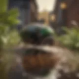 Pest Control Techniques