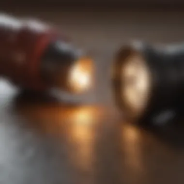 Flashlight Examination Method Using flashlight to check cracks and crevices for bed bugs