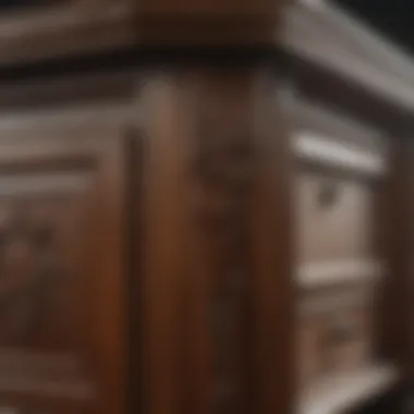 Impact of Burns Pest Damage Detailed view of burns pest damage on furniture