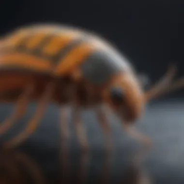 Rapid Pest Identification Techniques