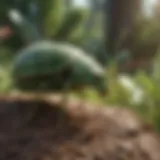 Green Pest Control in Manassas VA